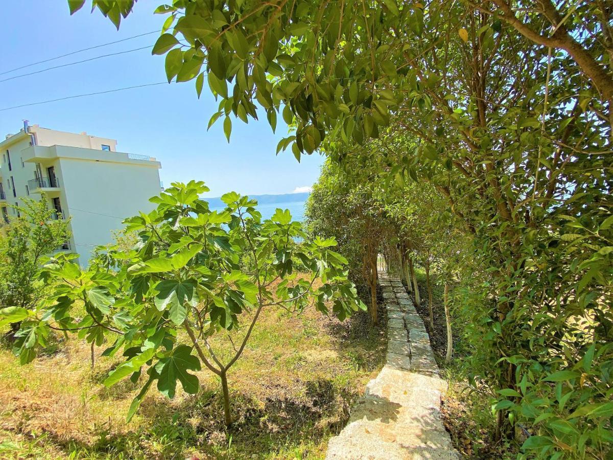 Ramo'S Green Beachside Retreat - Cozy 2 Bedroom Home Vlorë Εξωτερικό φωτογραφία