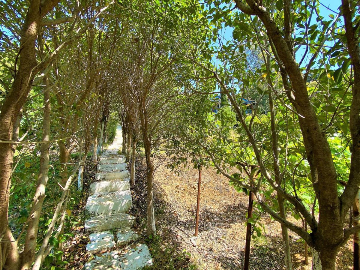 Ramo'S Green Beachside Retreat - Cozy 2 Bedroom Home Vlorë Εξωτερικό φωτογραφία