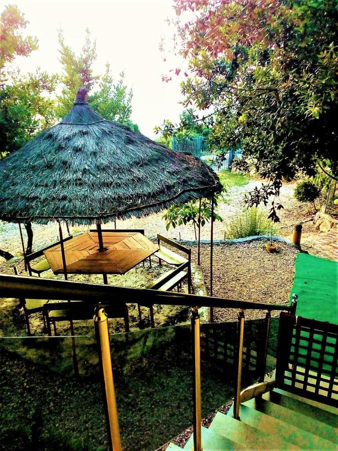 Ramo'S Green Beachside Retreat - Cozy 2 Bedroom Home Vlorë Εξωτερικό φωτογραφία